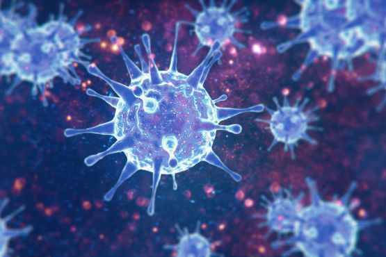 Virus image
